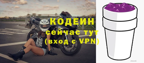гидра Билибино