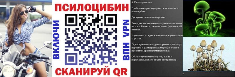 купить закладку Зеленодольск Галлюциногенные грибы Cubensis